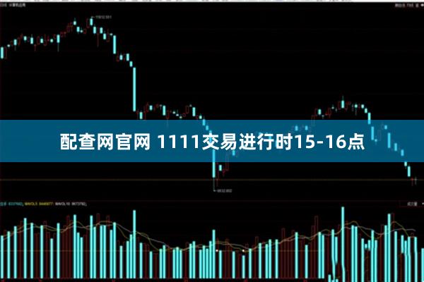 配查网官网 1111交易进行时15-16点