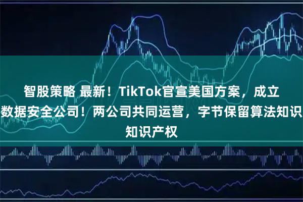 智股策略 最新！TikTok官宣美国方案，成立美国数据安全公司！两公司共同运营，字节保留算法知识产权