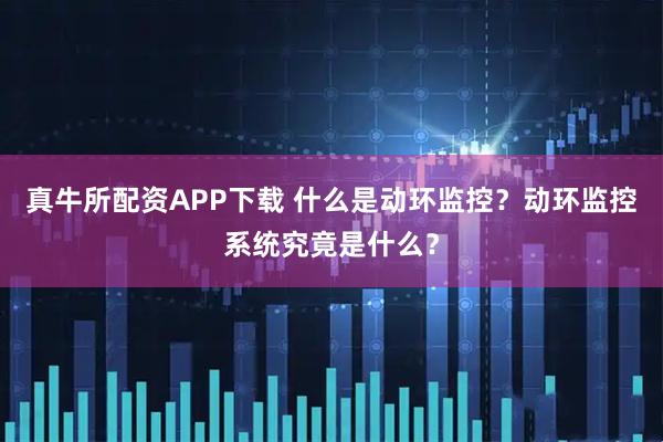真牛所配资APP下载 什么是动环监控？动环监控系统究竟是什么？