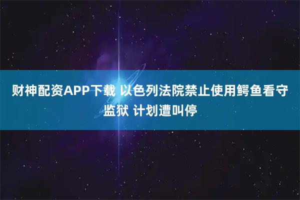 财神配资APP下载 以色列法院禁止使用鳄鱼看守监狱 计划遭叫停